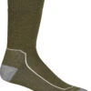 Icebreaker Men's Hike+ Midweight Merino Wool Crew Socks
