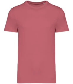 Native Spirit Unisex Organic Cotton Heavyweight T-Shirt {NS305} -Fashion Clothing NS305ARSFRONT