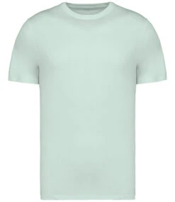 Native Spirit Unisex Organic Cotton Heavyweight T-Shirt {NS305} -Fashion Clothing NS305BRGFRONT