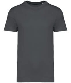 Native Spirit Unisex Organic Cotton Heavyweight T-Shirt {NS305} -Fashion Clothing NS305IRNFRONT